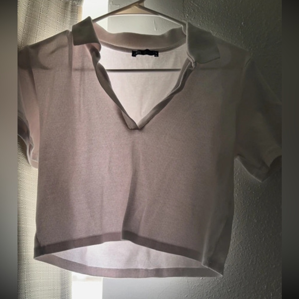 Zara crop top